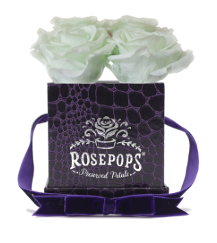 4 Roses Square - Deep Violet
