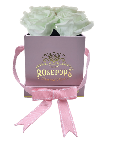 4 Roses Square - Petal Pink