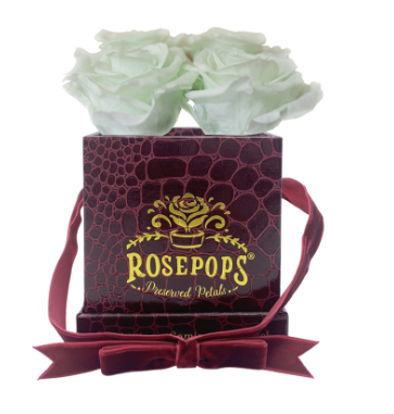 4 Roses Square - Crimson