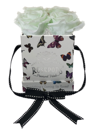 4 Roses Square - Butterfly