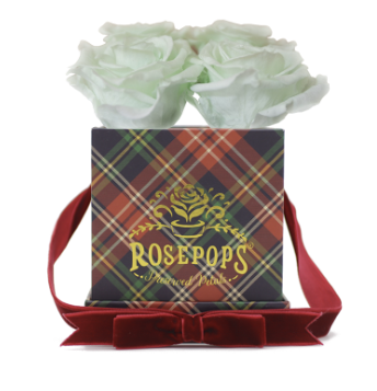 4 Roses Square - Hamptons Classic