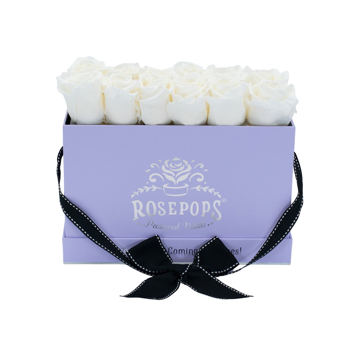 12 Roses Rectangle - Lilac