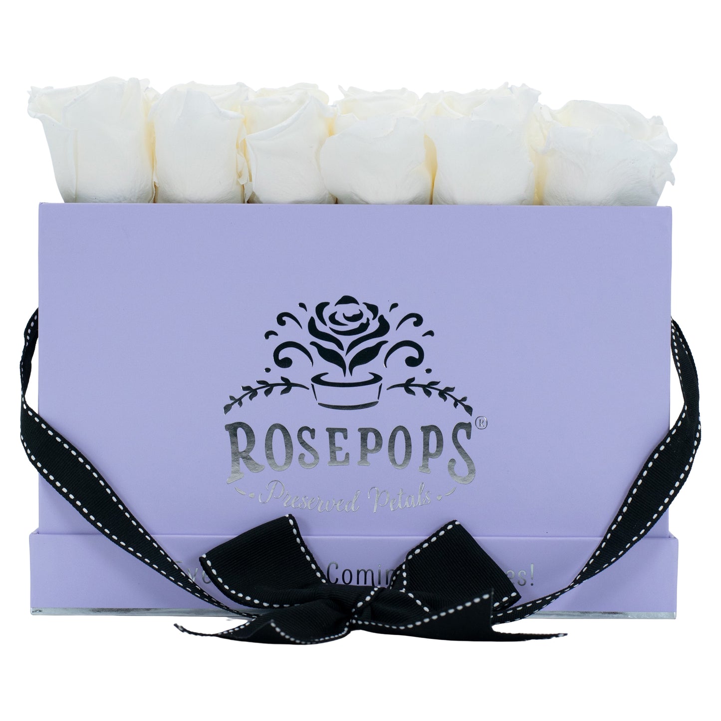 12 Roses Rectangle - Lilac