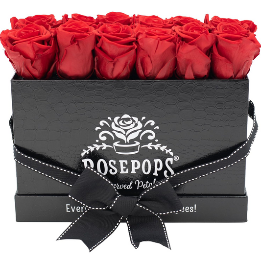 Black Croc Keeper by the Dozen - 12 Red Roses