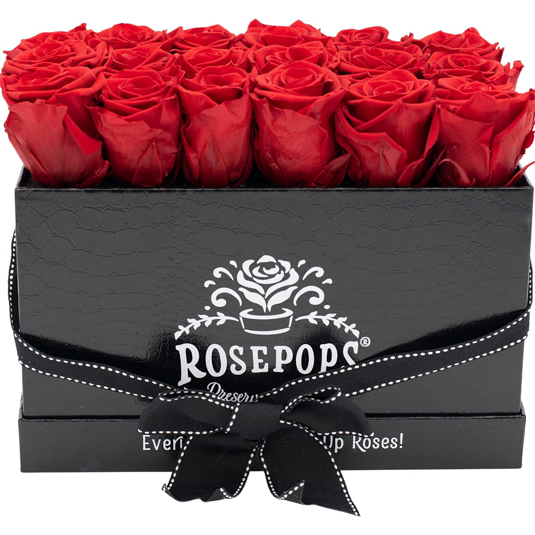 Black Croc Pop of the Line - 18  Cherry Crush Roses