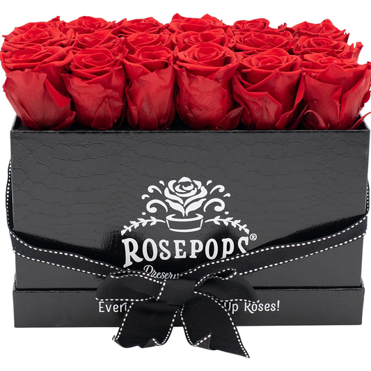 Black Croc Pop of the Line - 18  Cherry Crush Roses