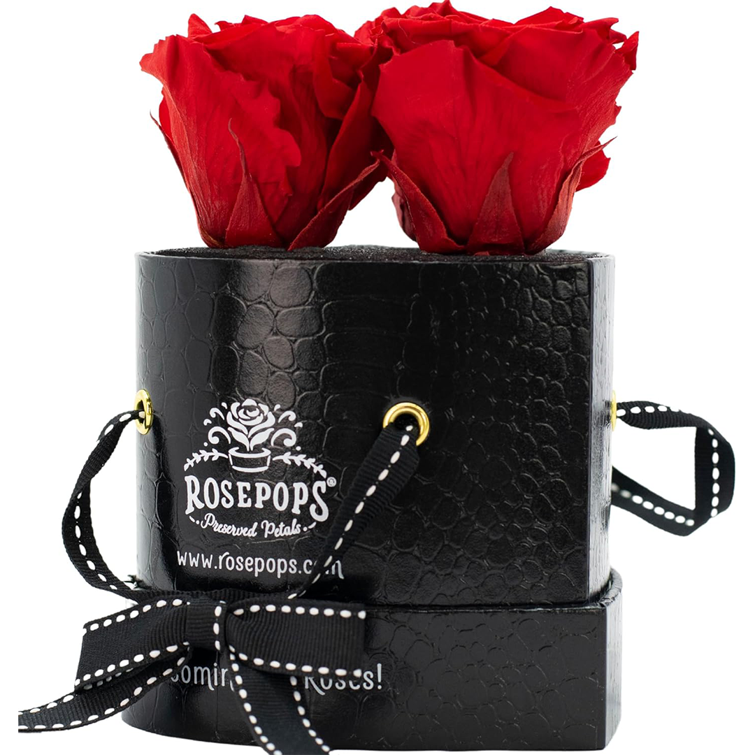 Black Croc Three's a Charm - 4 Soft Piink Roses