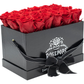 Black Croc Pop of the Line - 18  Cherry Crush Roses