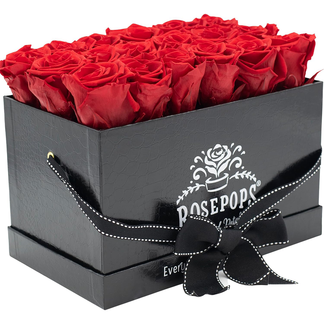 Black Croc Pop of the Line - 18  Cherry Crush Roses