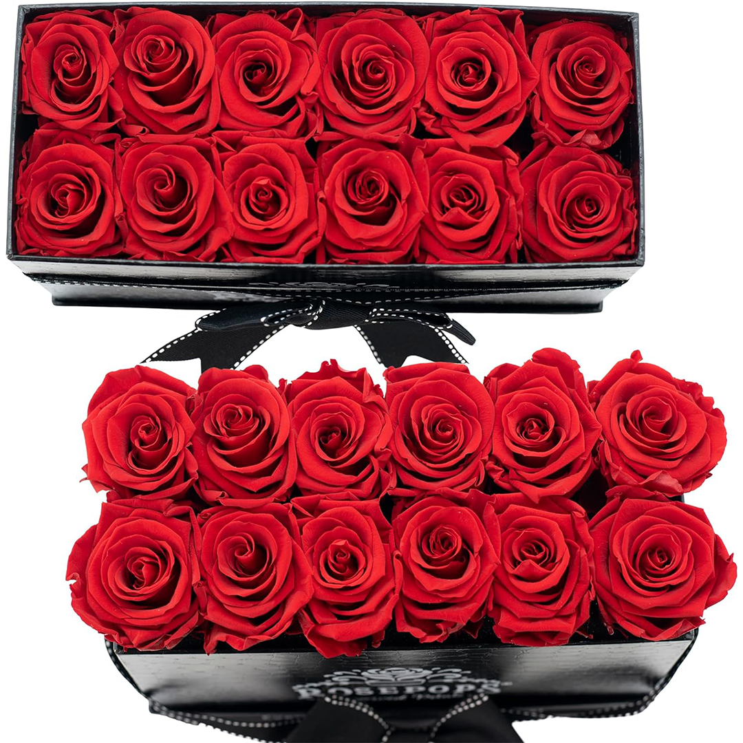 Black Croc Keeper by the Dozen - 12 Red Roses