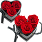 Black Croc Three's a Charm - 4 Soft Piink Roses
