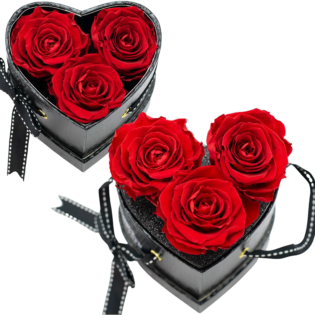 Black Croc Three's a Charm - 4 Soft Piink Roses