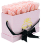 Noontime Petal Pink