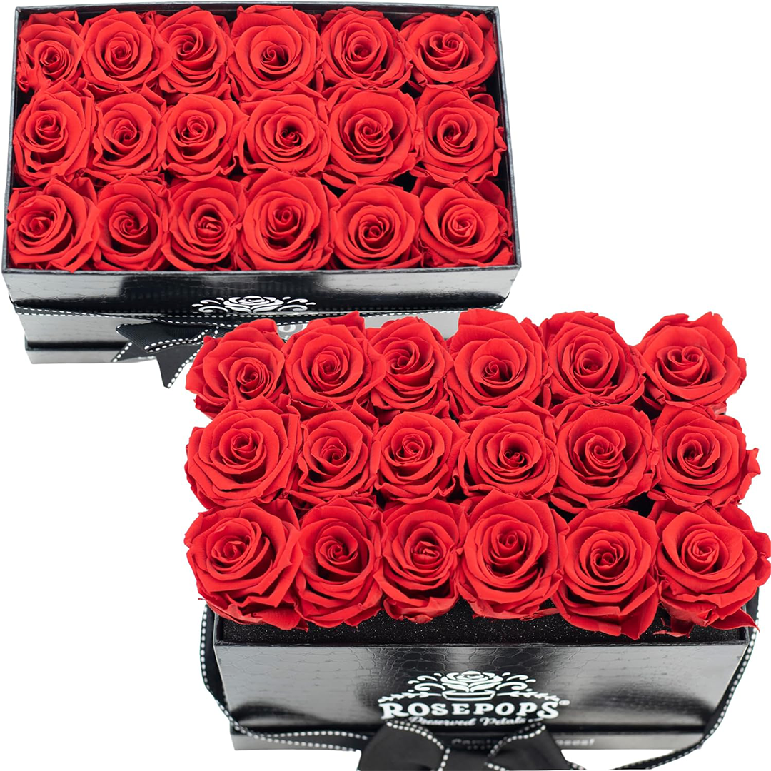 Black Croc Pop of the Line - 18  Cherry Crush Roses