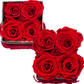Westhampton Fourget Me Not - 4 Lilac Roses