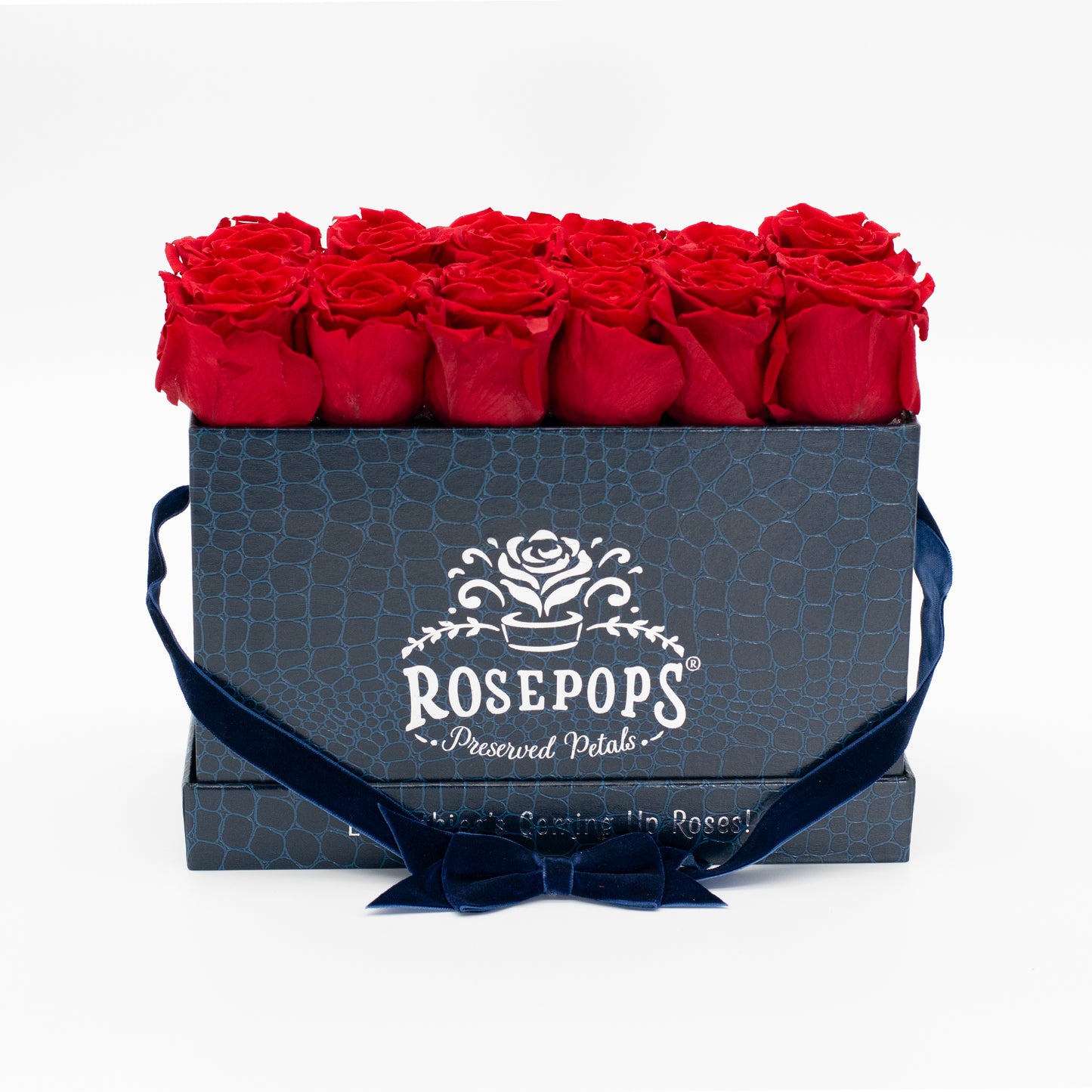 12 Roses Rectangle - Sapphire