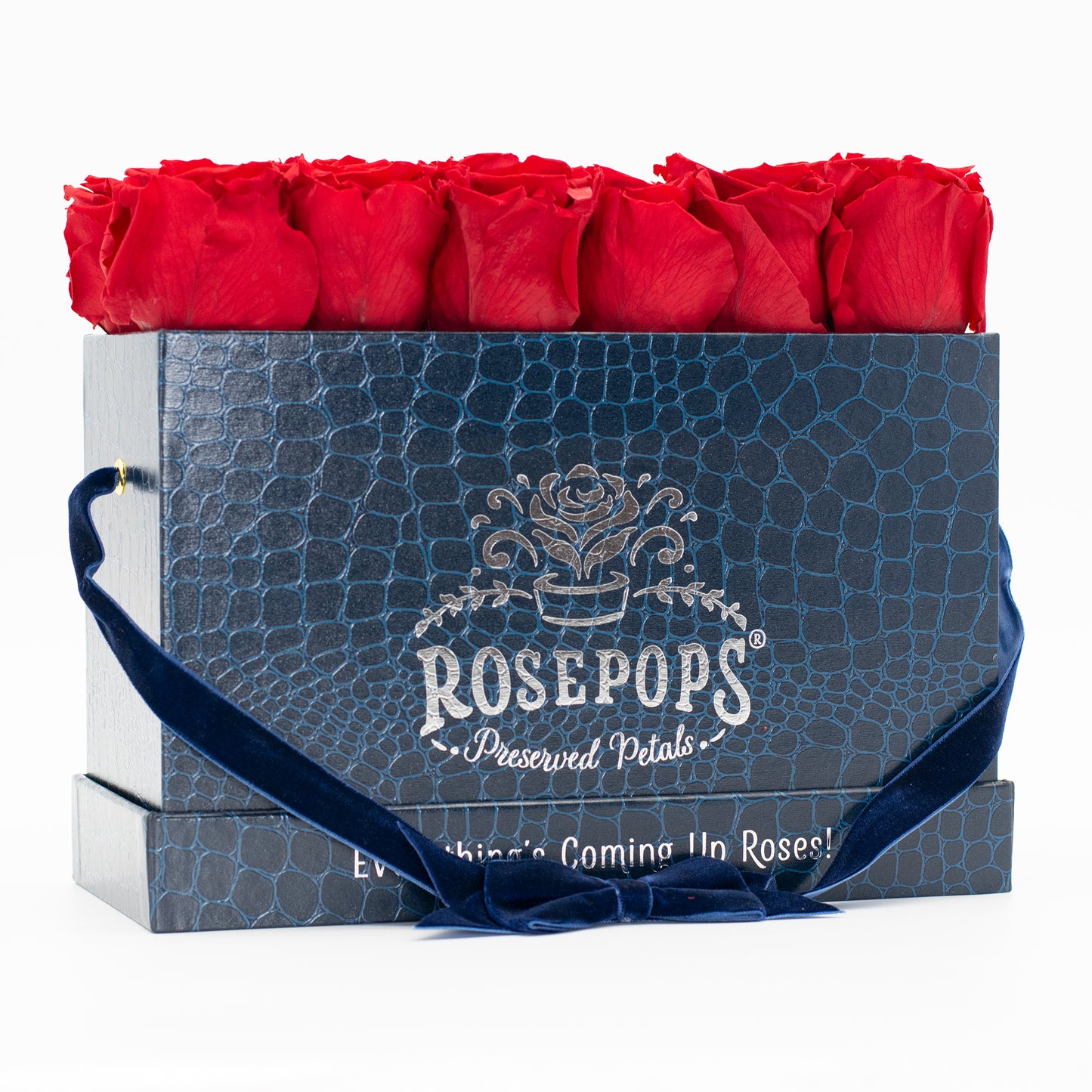 12 Roses Rectangle - Sapphire