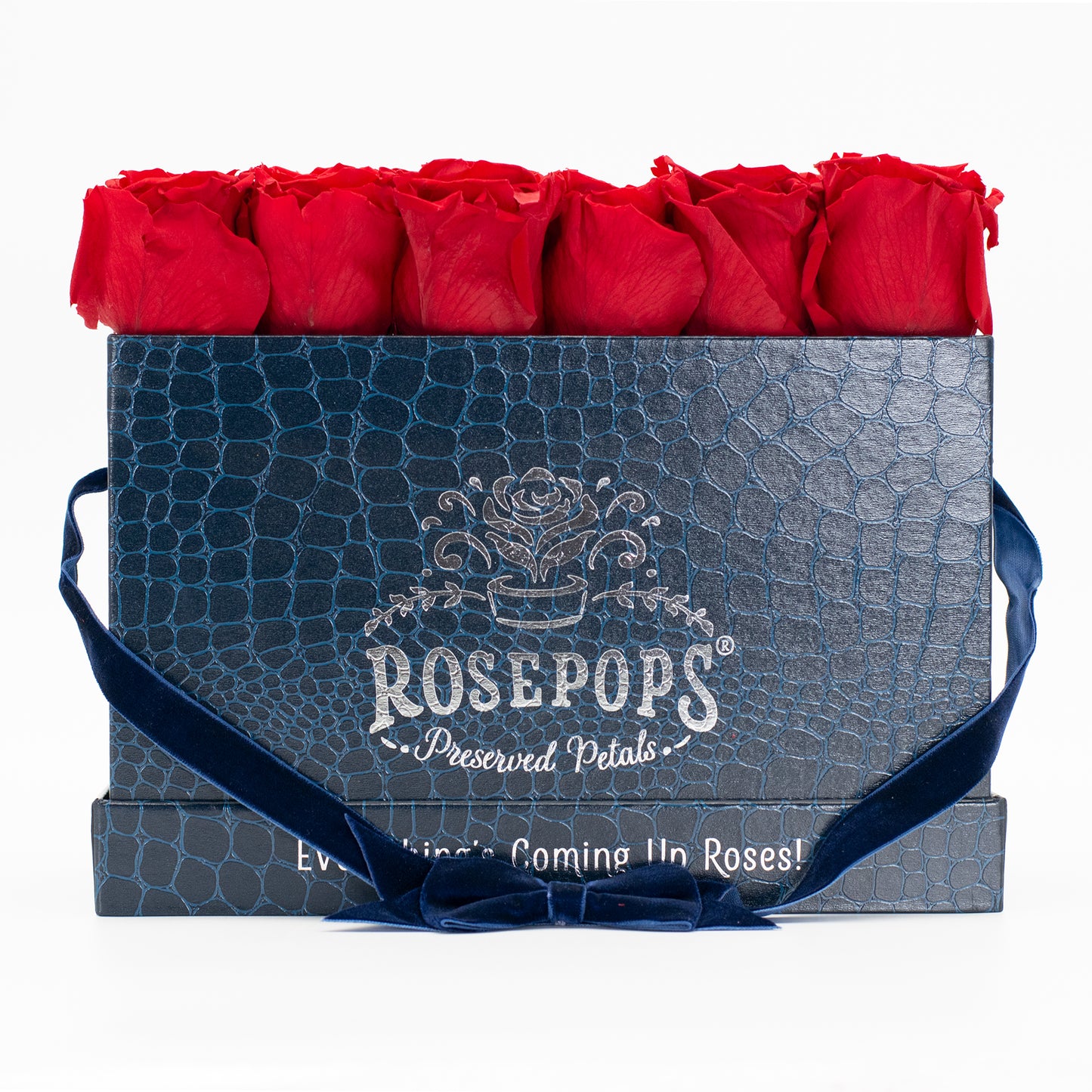 12 Roses Rectangle - Sapphire