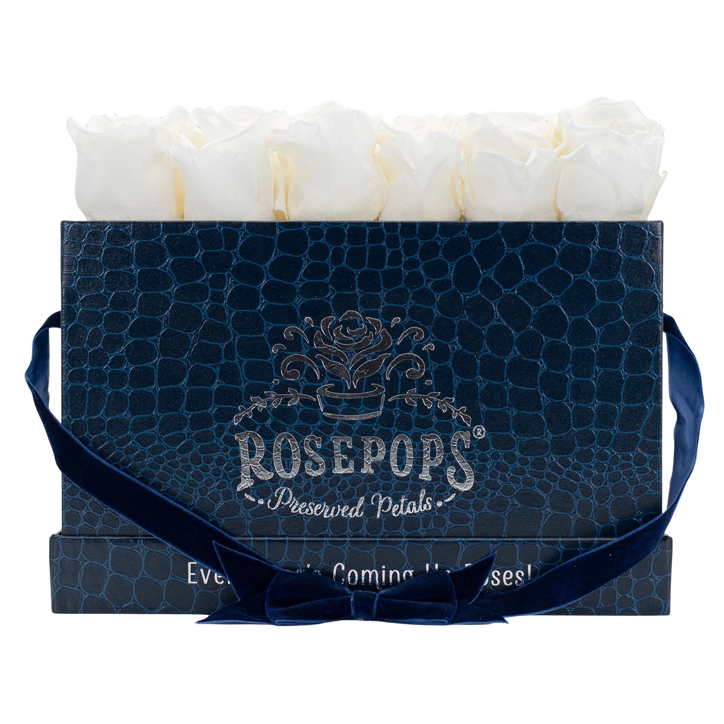 12 Roses Rectangle - Sapphire