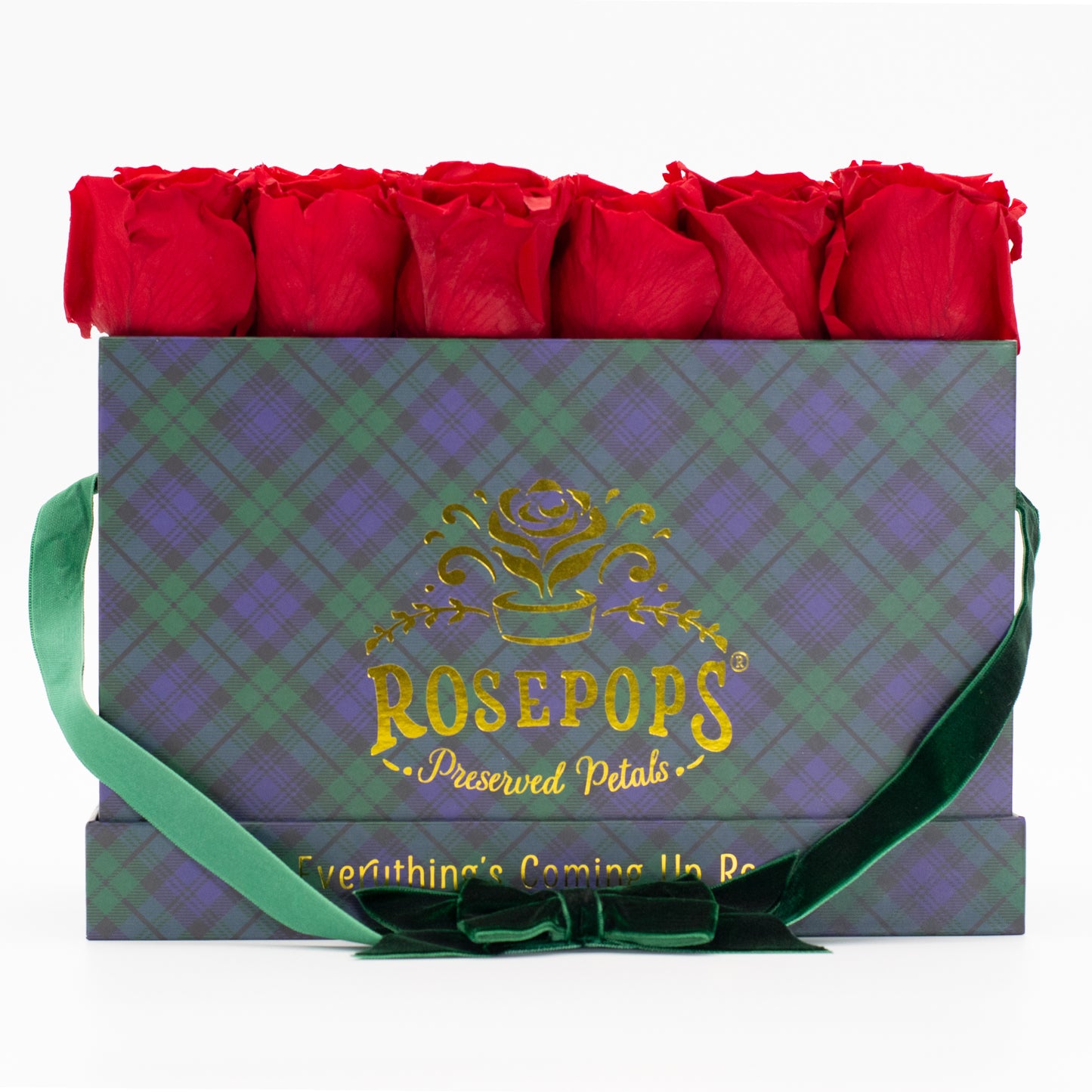12 Roses Rectangle - Blackwatch Plaid