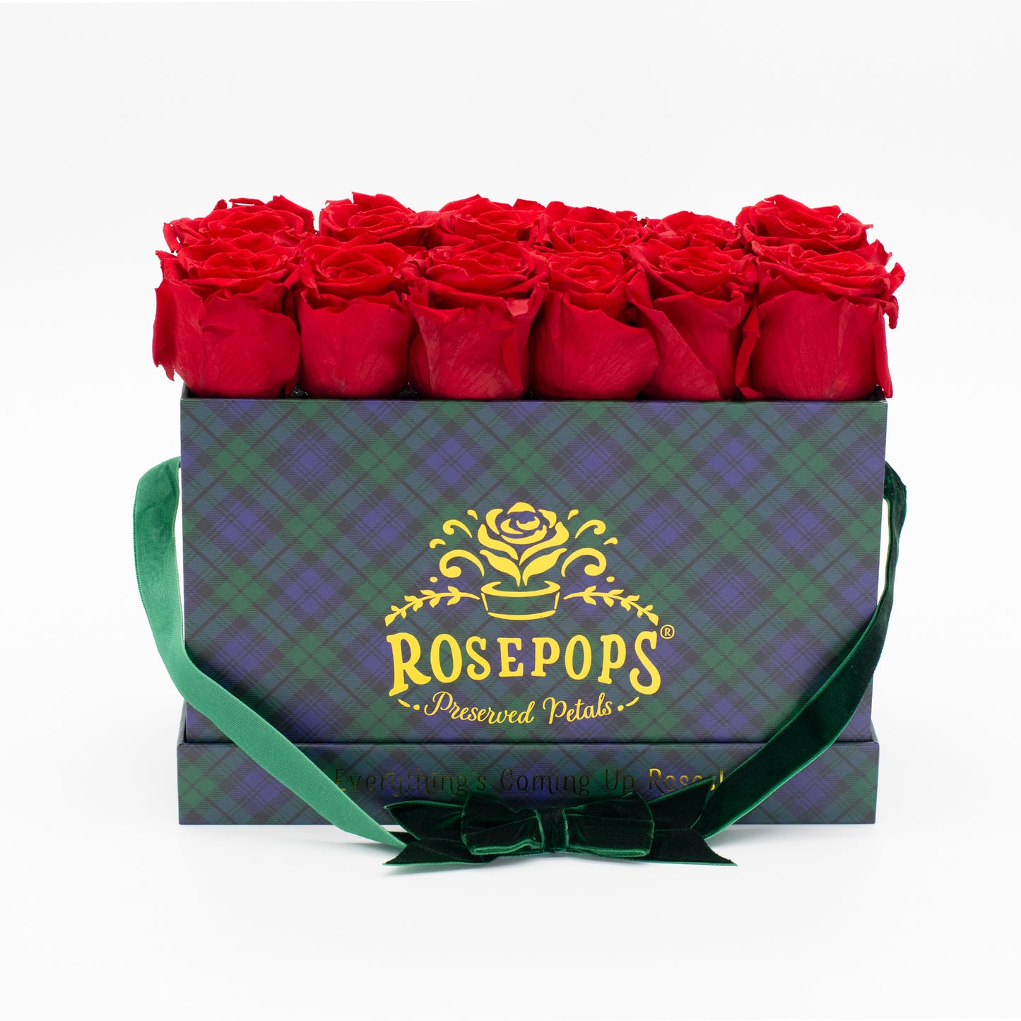 12 Roses Rectangle - Blackwatch Plaid