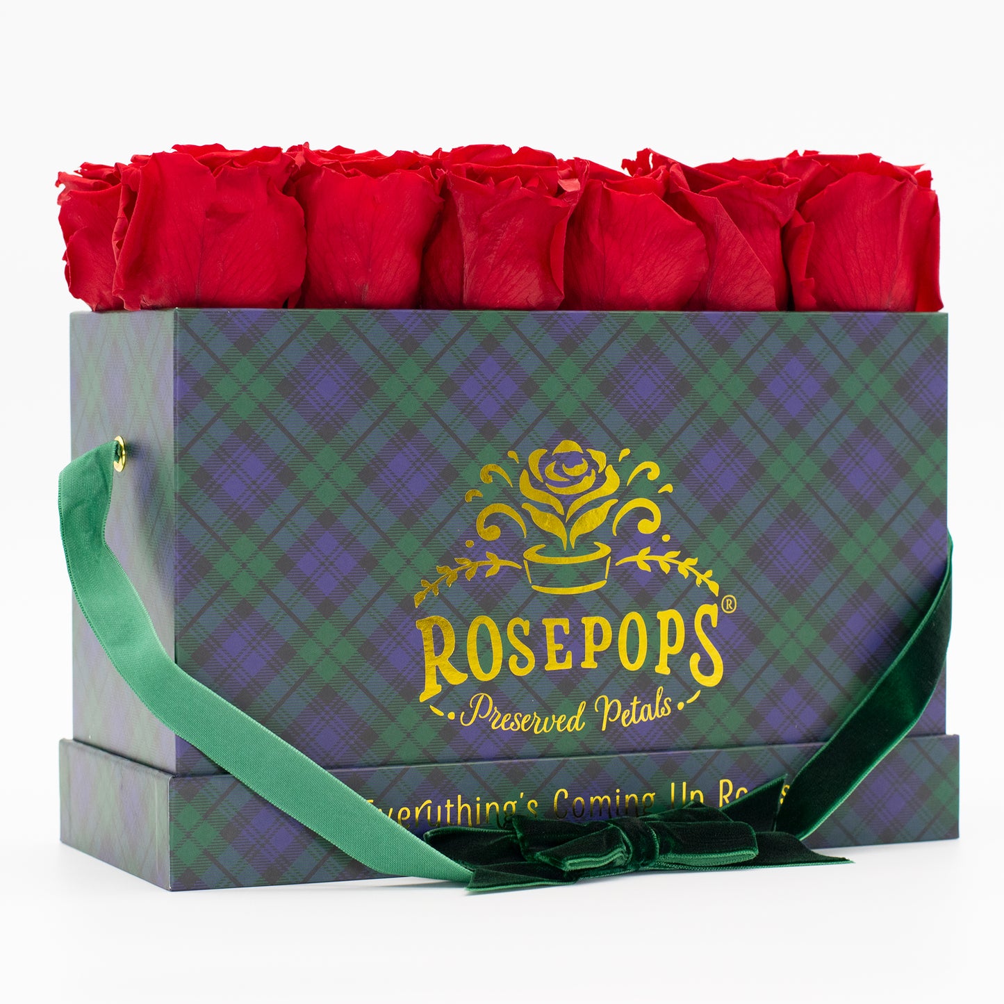 12 Roses Rectangle - Blackwatch Plaid