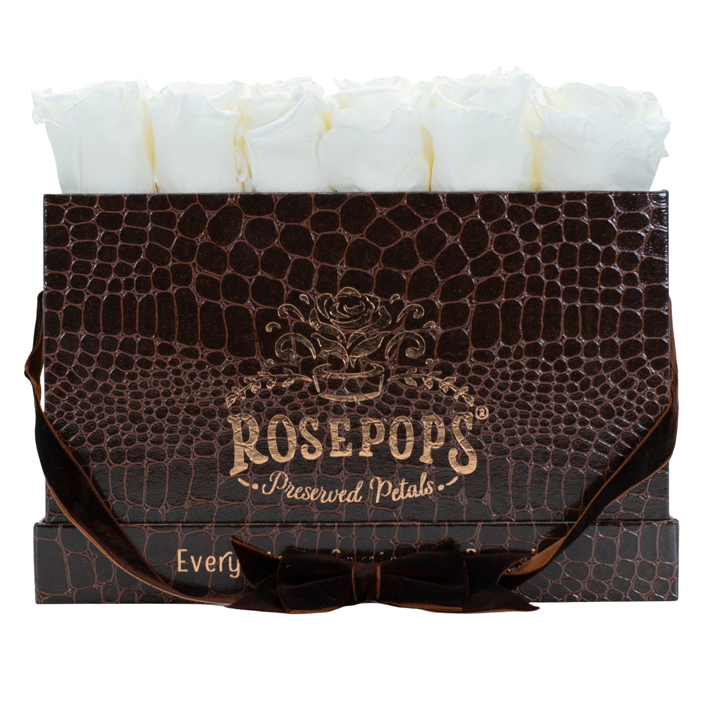 12 Roses Rectangle - Chocolate