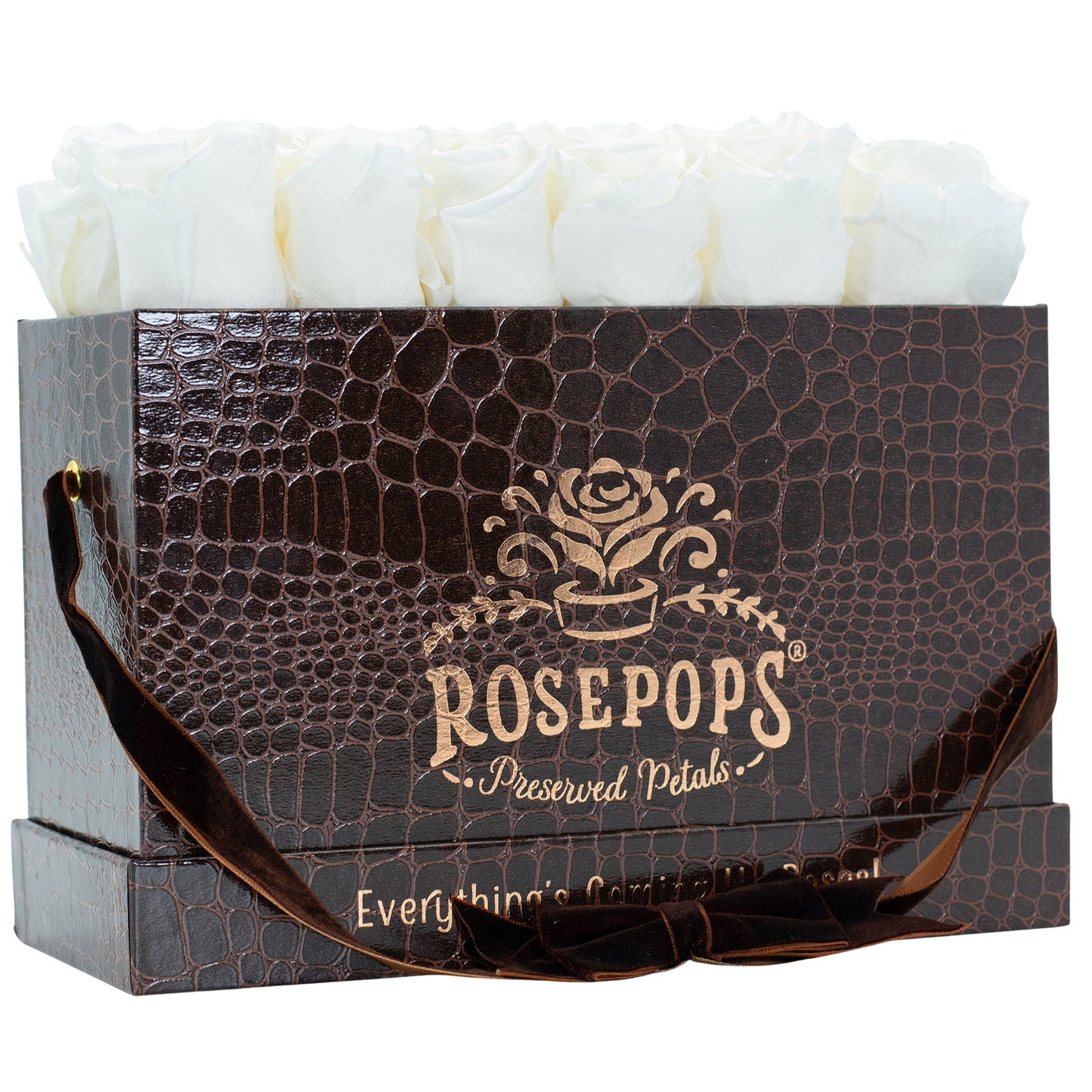 12 Roses Rectangle - Chocolate