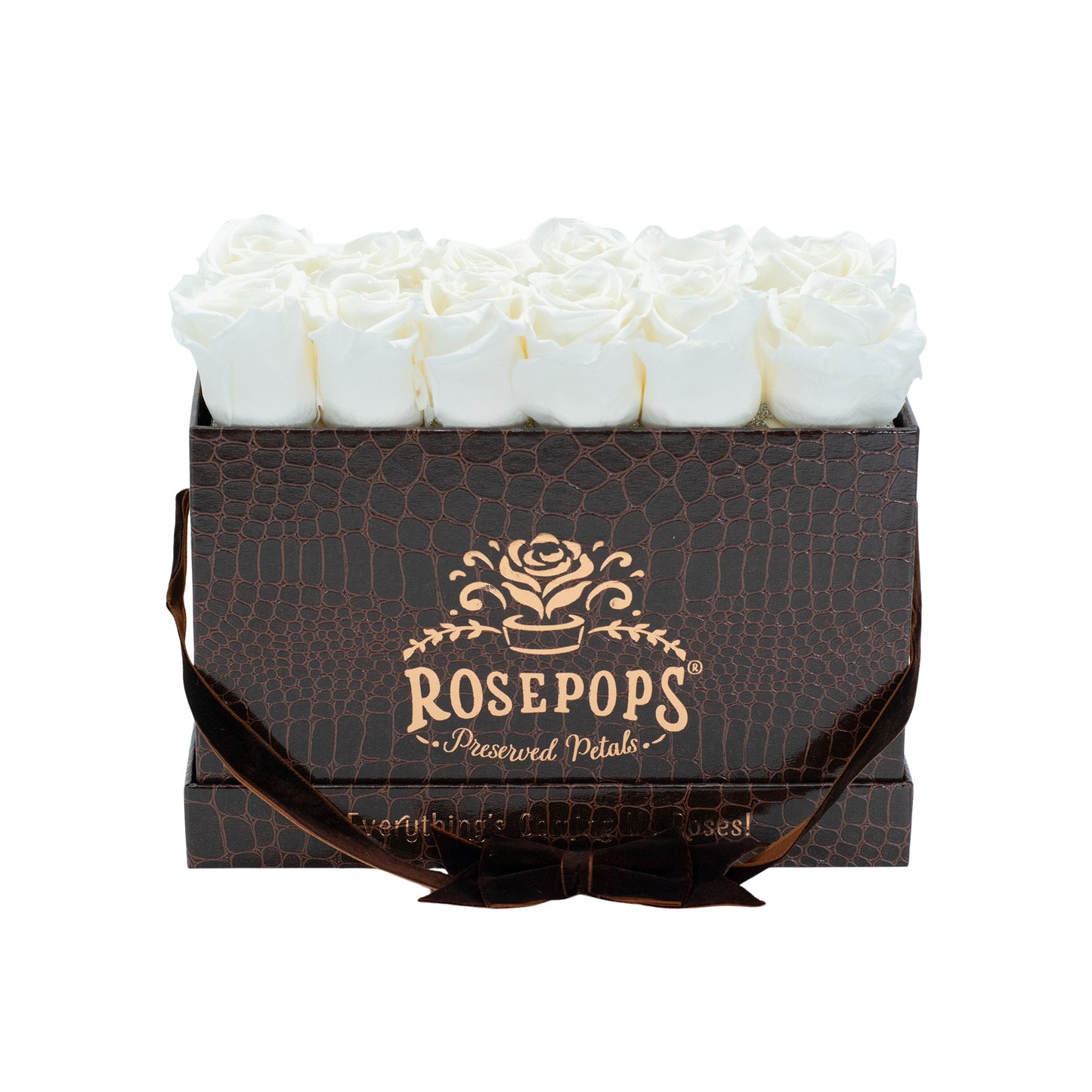 12 Roses Rectangle - Chocolate