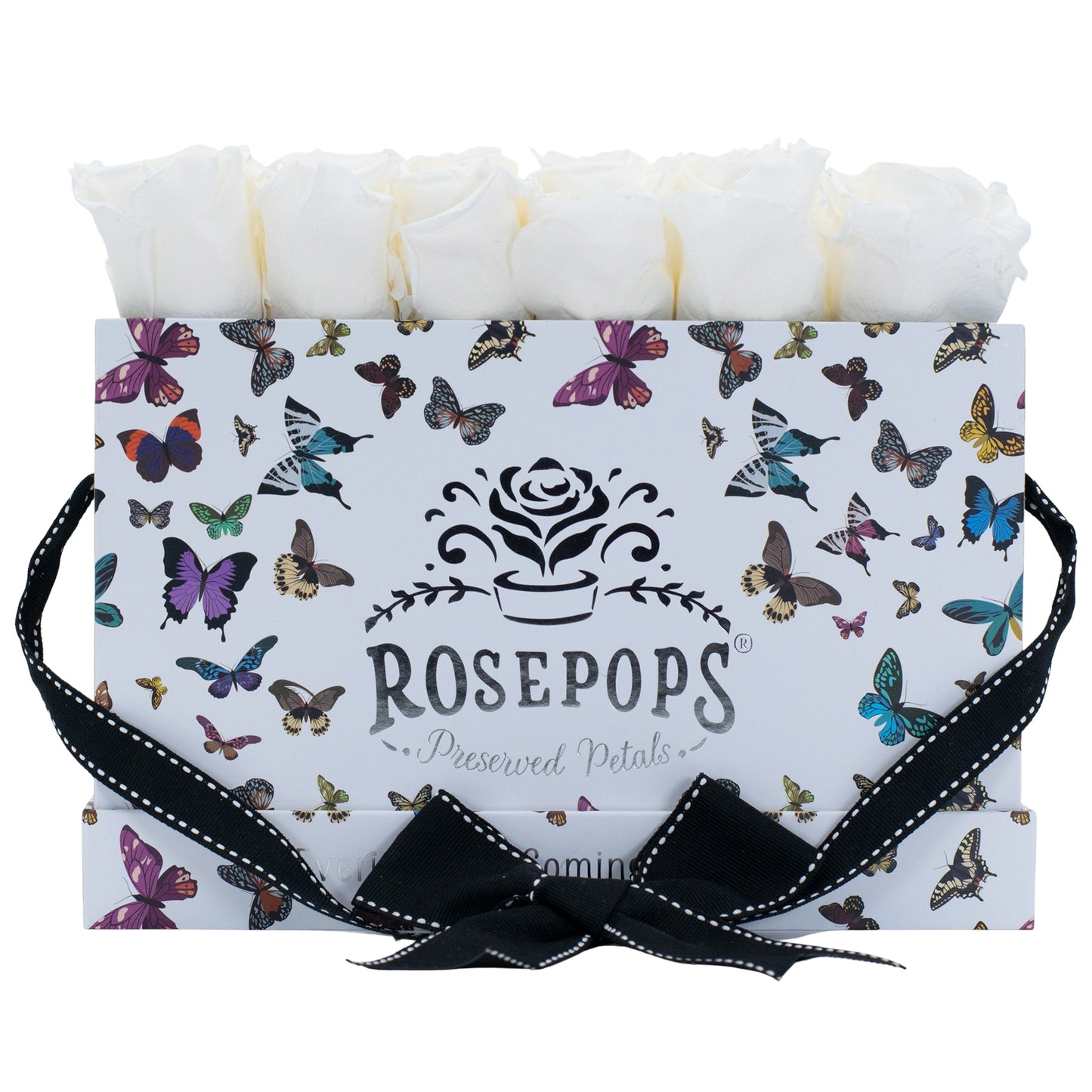 12 Roses Rectangle - Butterfly