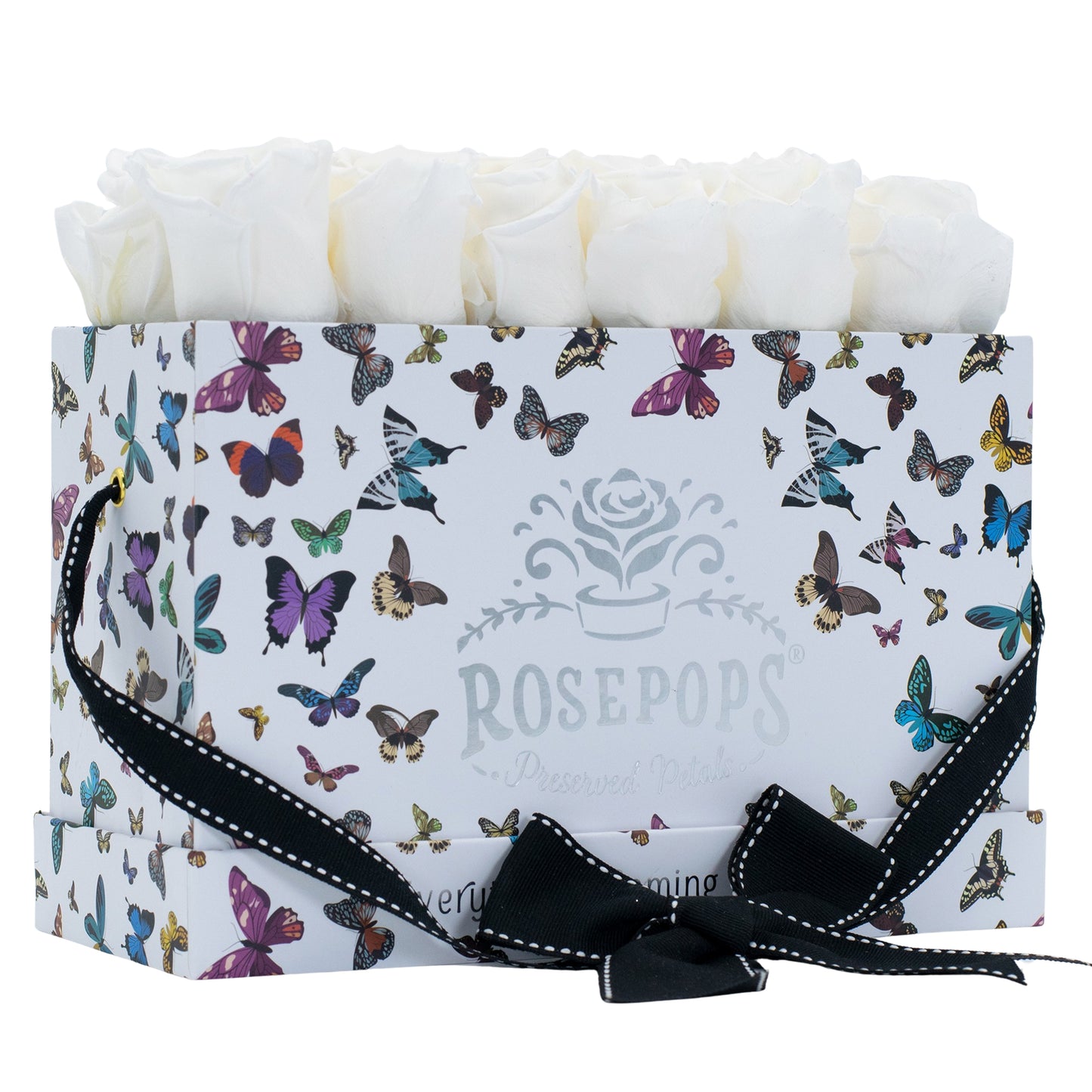 12 Roses Rectangle - Butterfly