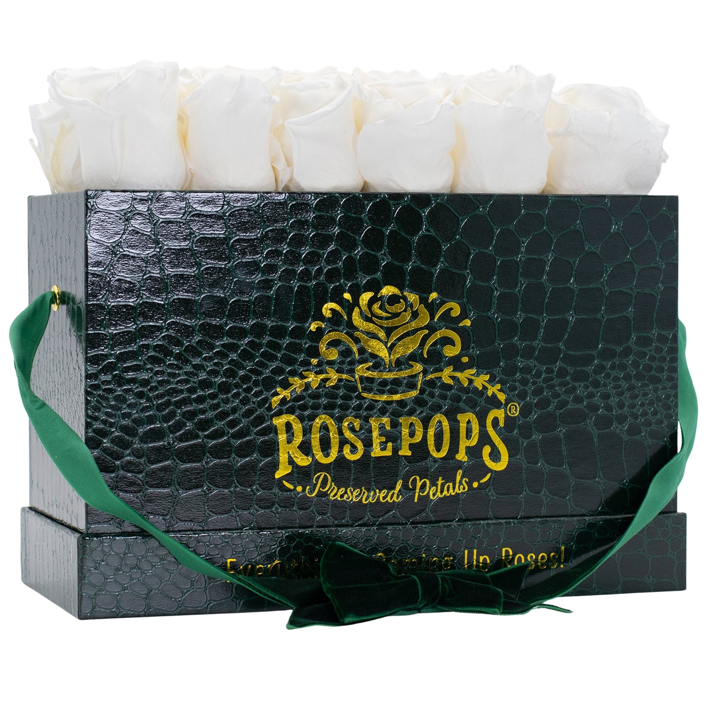 12 Roses Rectangle - Hunter Green