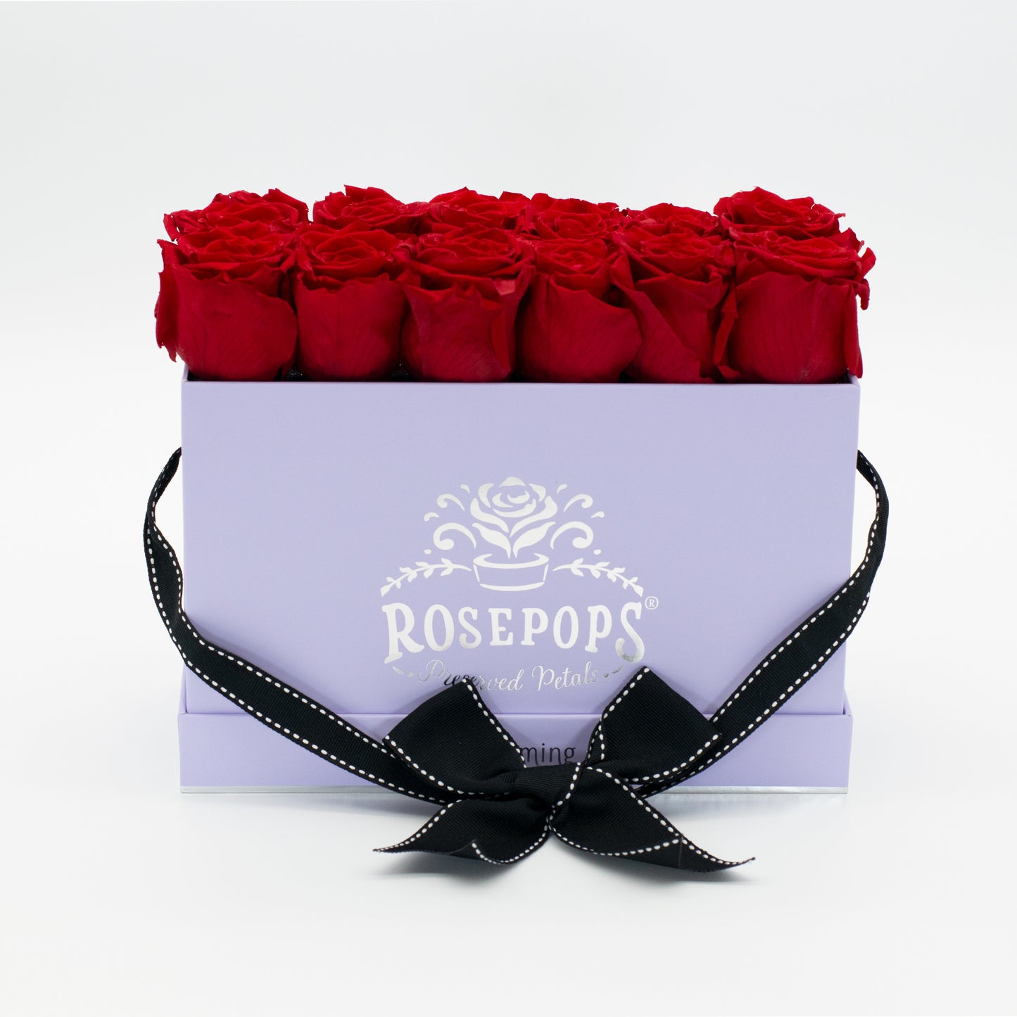 12 Roses Rectangle - Lilac