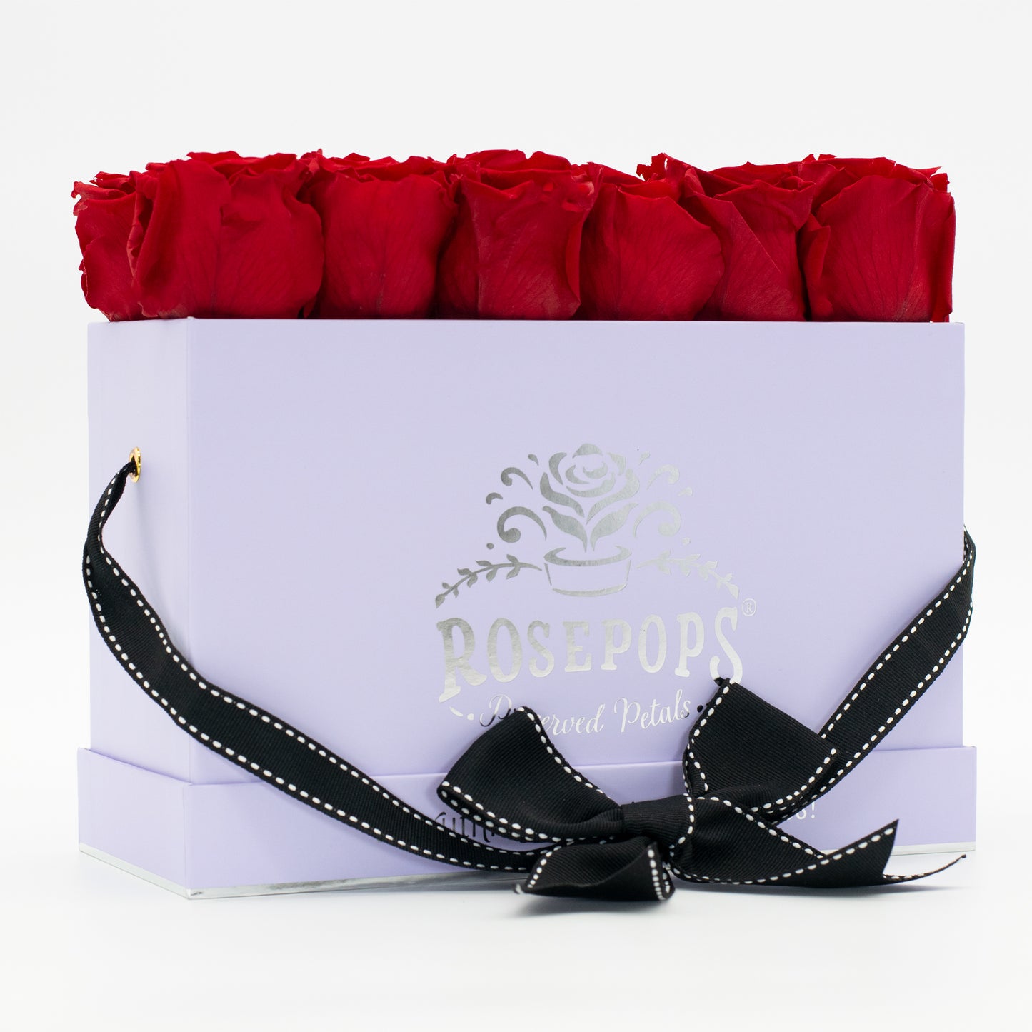 12 Roses Rectangle - Lilac