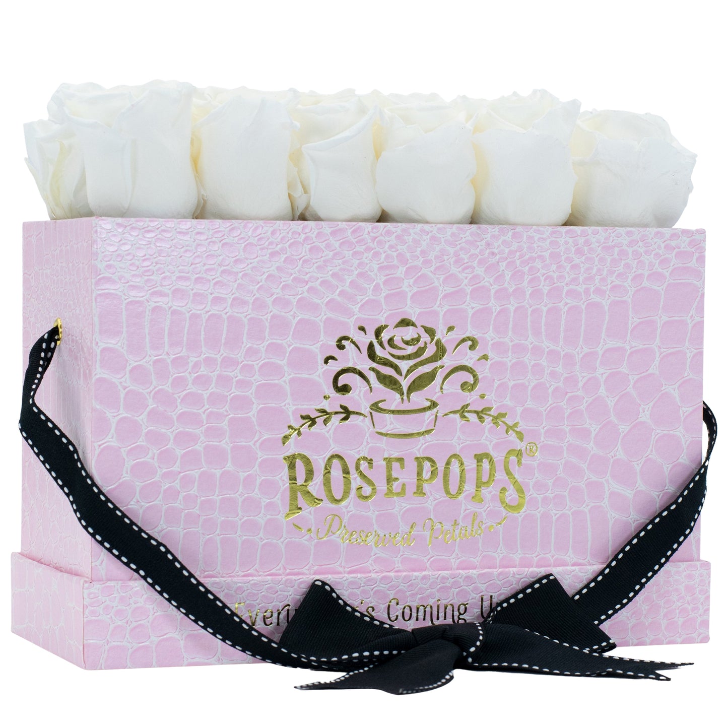 12 Roses Rectangle - Pink Croc