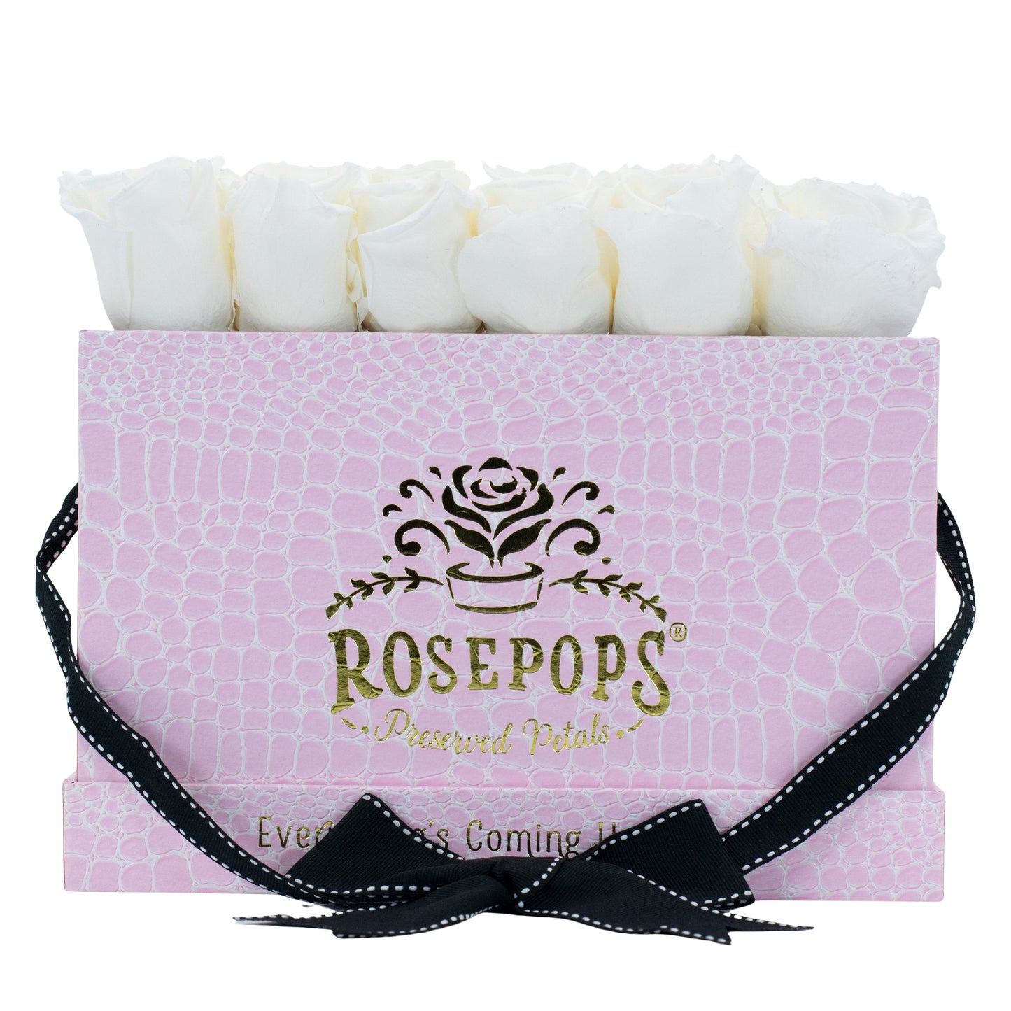 12 Roses Rectangle - Pink Croc