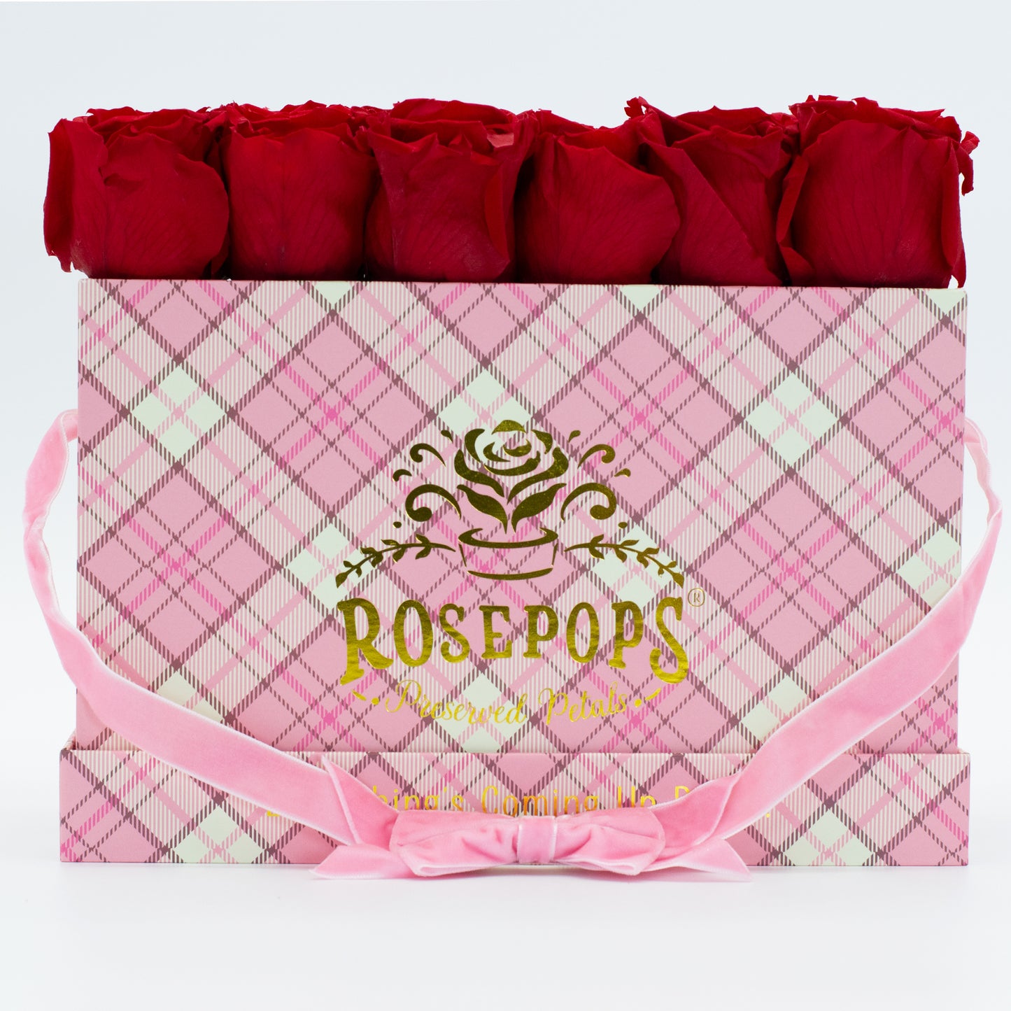 12 Roses Rectangle - Preppy Pink