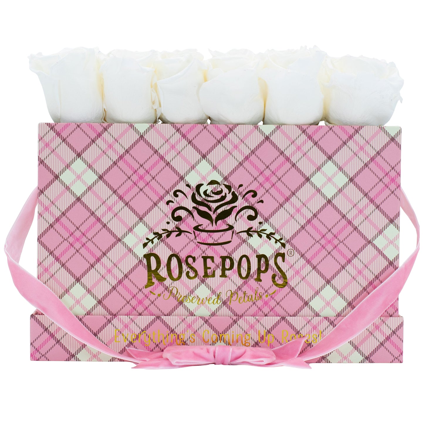 12 Roses Rectangle - Preppy Pink