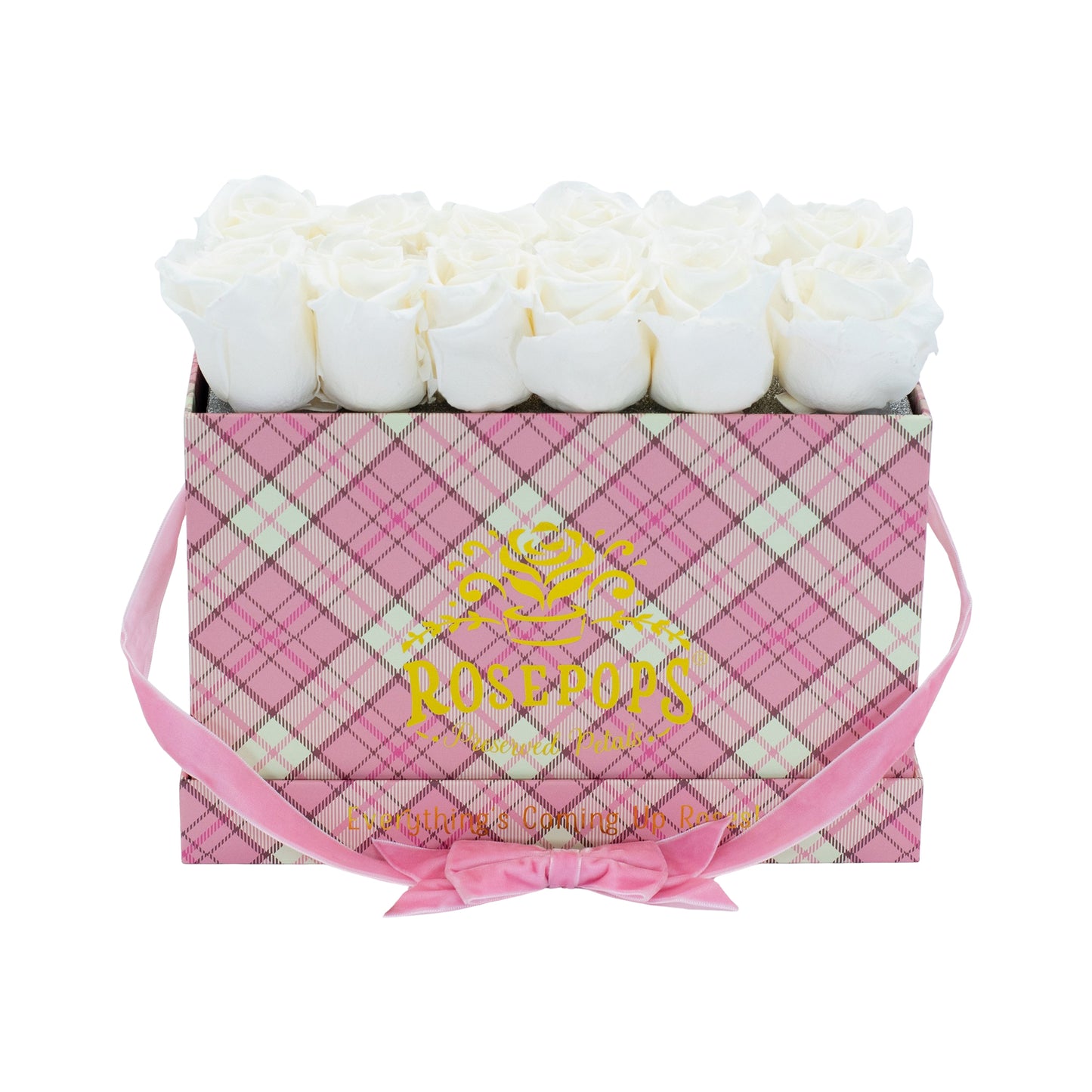 12 Roses Rectangle - Preppy Pink