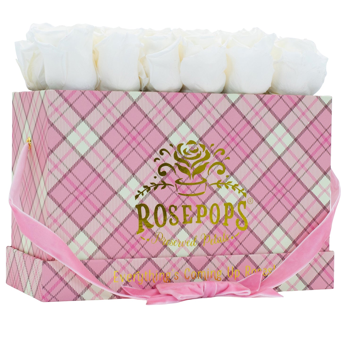 12 Roses Rectangle - Preppy Pink