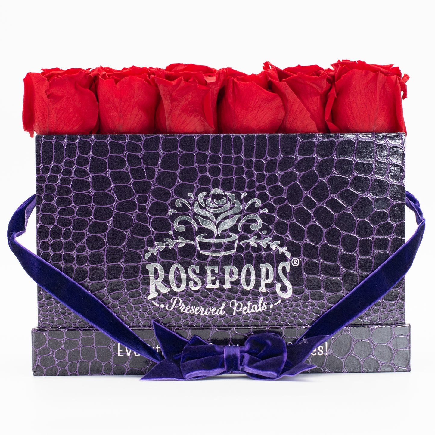 12 Roses Rectangle - Deep Violet
