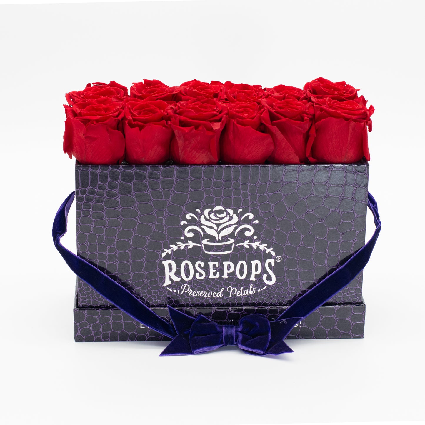 12 Roses Rectangle - Deep Violet
