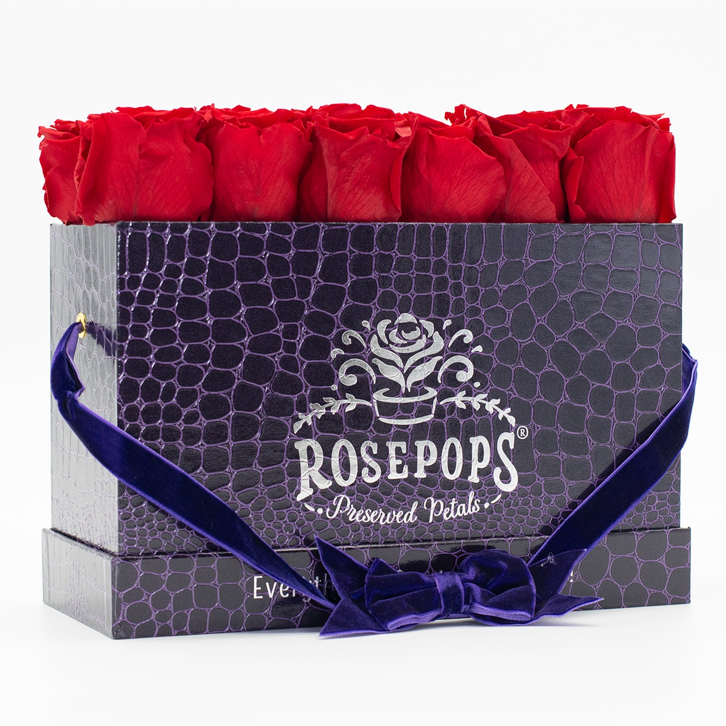 12 Roses Rectangle - Deep Violet