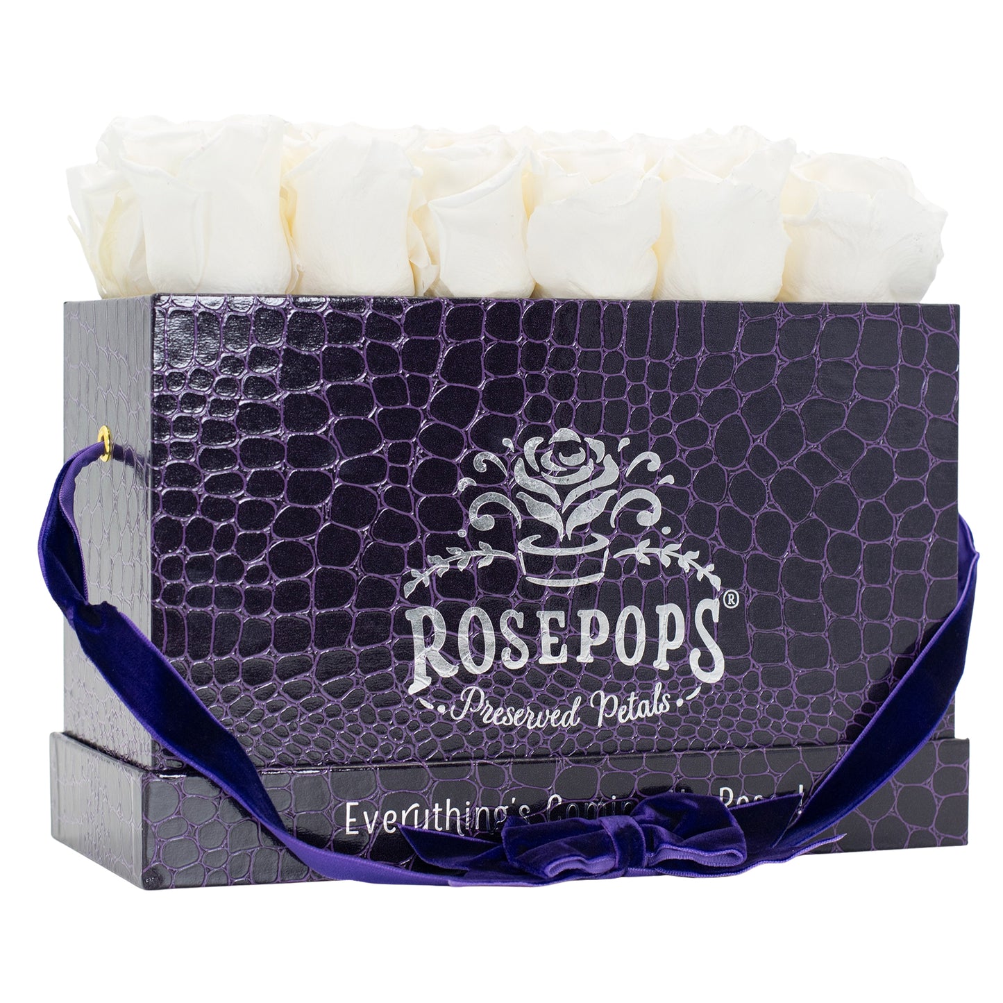12 Roses Rectangle - Deep Violet