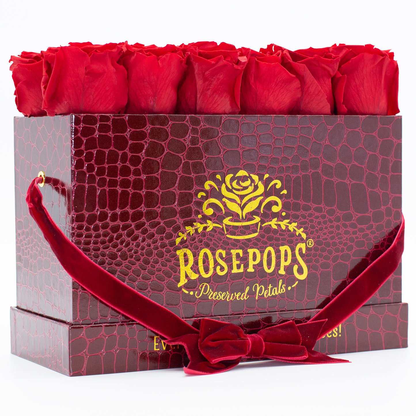 12 Roses Rectangle - Crimson