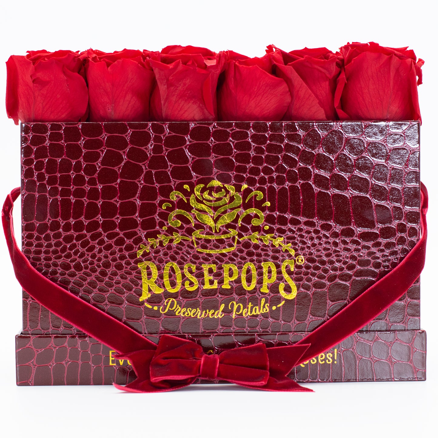 12 Roses Rectangle - Crimson