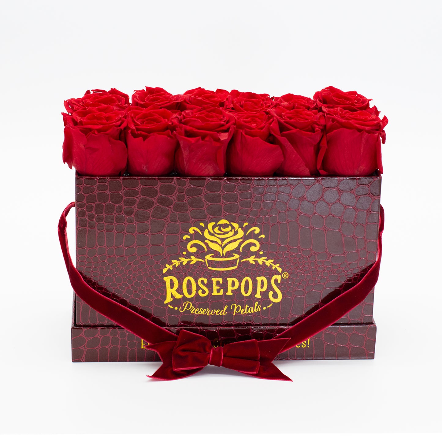 12 Roses Rectangle - Crimson