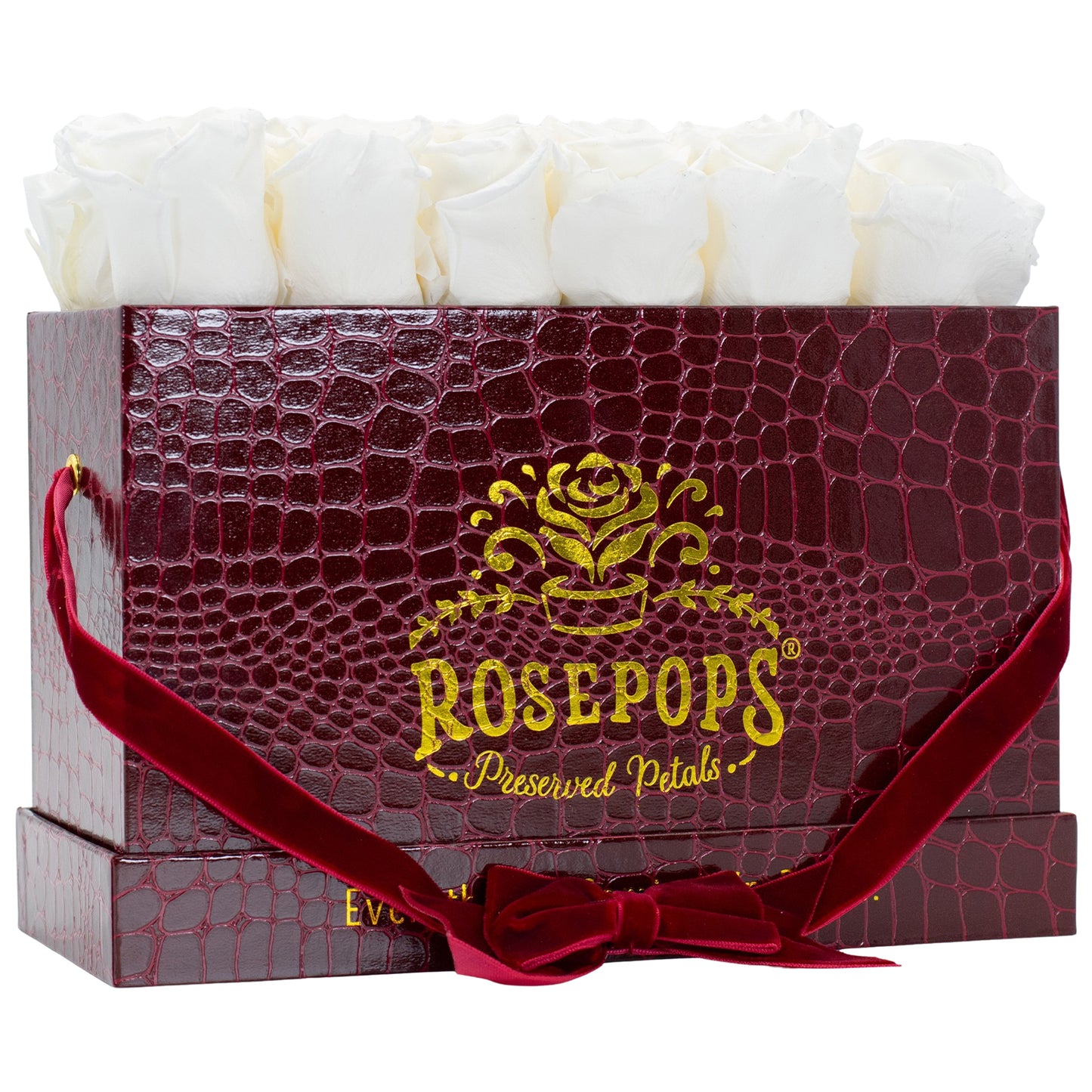 12 Roses Rectangle - Crimson