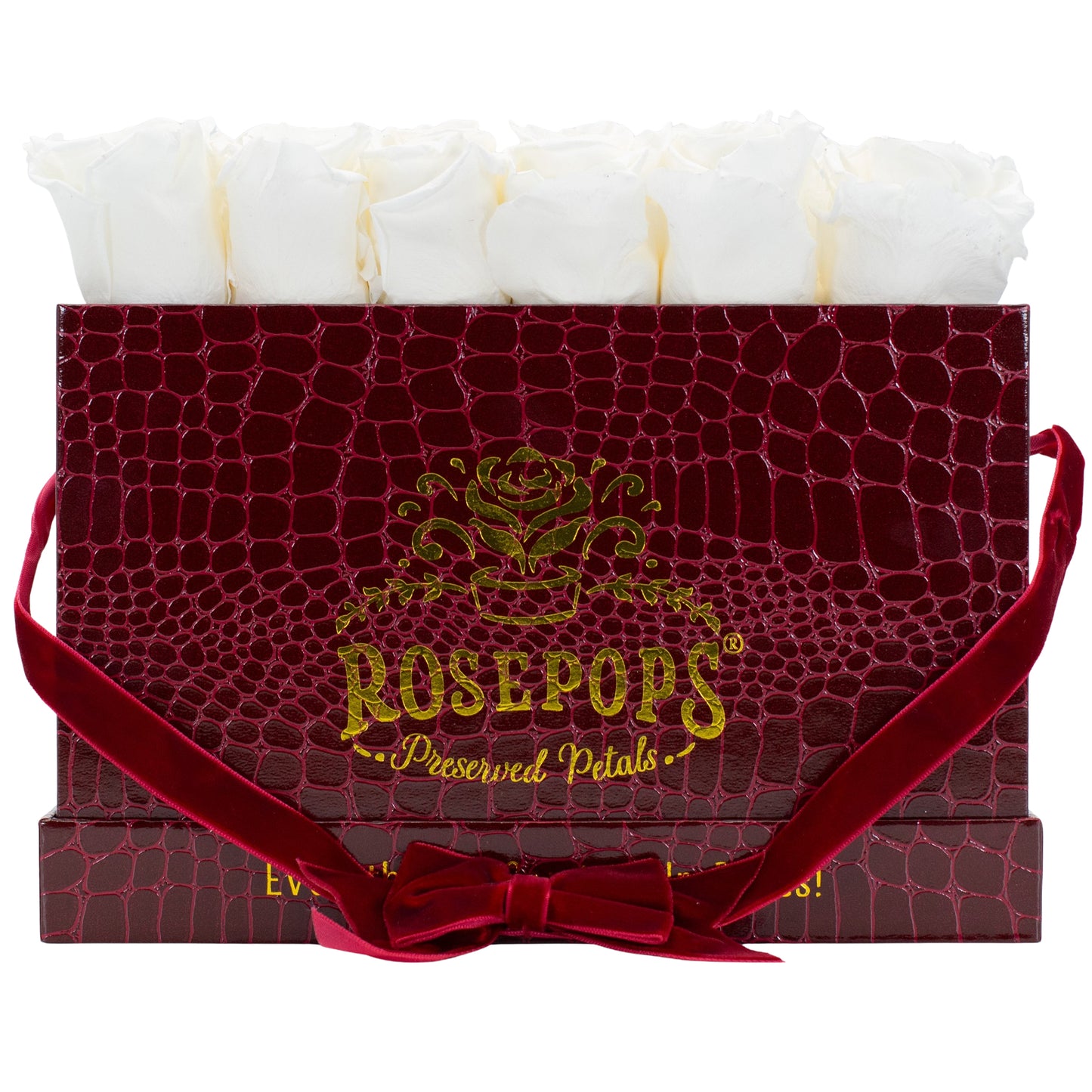 12 Roses Rectangle - Crimson