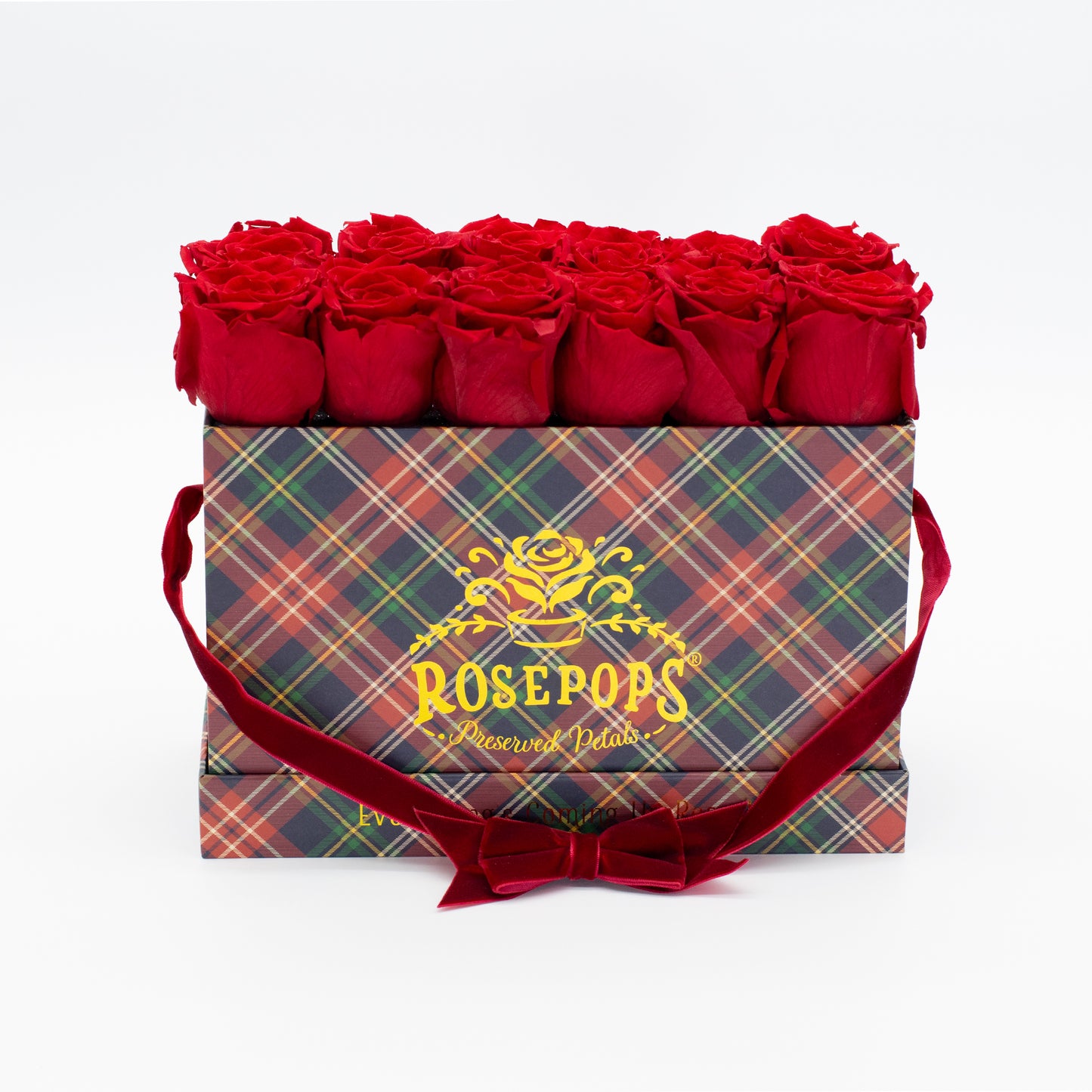 12 Roses Rectangle - Hamptons Classic